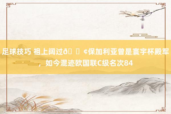 足球技巧 祖上阔过😢保加利亚曾是寰宇杯殿军，如今混迹欧国联C级名次84