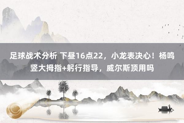 足球战术分析 下昼16点22，小龙表决心！杨鸣竖大拇指+躬行指导，威尔斯顶用吗