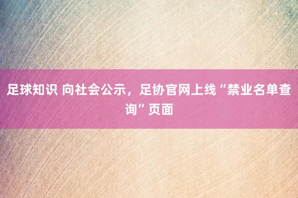 足球知识 向社会公示，足协官网上线“禁业名单查询”页面