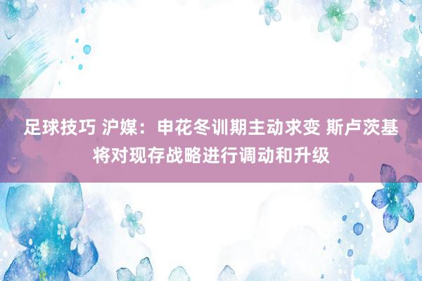 足球技巧 沪媒：申花冬训期主动求变 斯卢茨基将对现存战略进行调动和升级