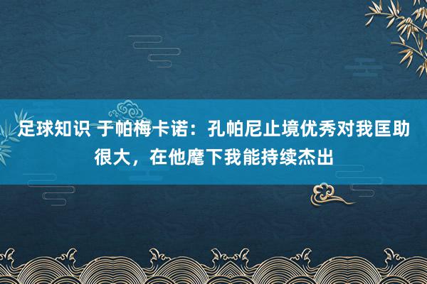 足球知识 于帕梅卡诺：孔帕尼止境优秀对我匡助很大，在他麾下我能持续杰出