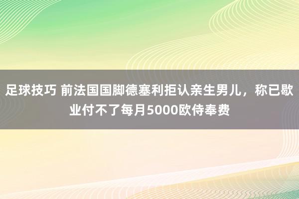 足球技巧 前法国国脚德塞利拒认亲生男儿，称已歇业付不了每月5000欧侍奉费