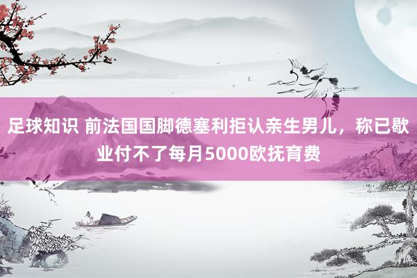 足球知识 前法国国脚德塞利拒认亲生男儿，称已歇业付不了每月5000欧抚育费