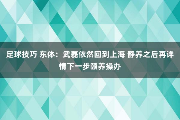 足球技巧 东体：武磊依然回到上海 静养之后再详情下一步颐养操办