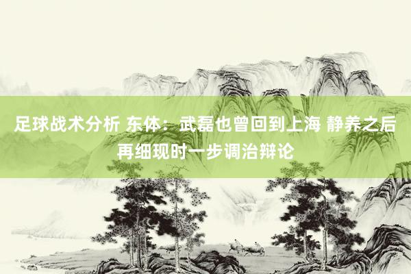 足球战术分析 东体：武磊也曾回到上海 静养之后再细现时一步调治辩论