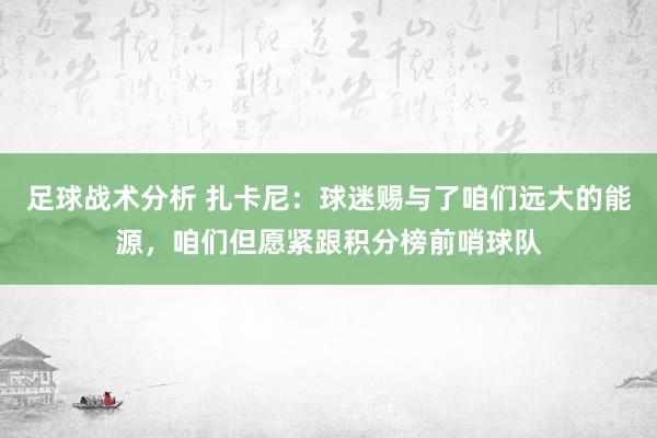 足球战术分析 扎卡尼：球迷赐与了咱们远大的能源，咱们但愿紧跟积分榜前哨球队