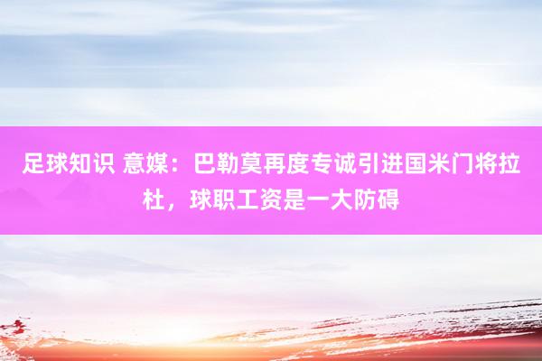 足球知识 意媒：巴勒莫再度专诚引进国米门将拉杜，球职工资是一大防碍