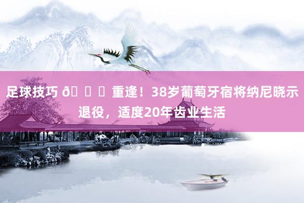 足球技巧 👋重逢！38岁葡萄牙宿将纳尼晓示退役，适度20年齿业生活