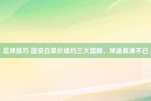 足球技巧 国安白菜价续约三大国脚，球迷鼎沸不已