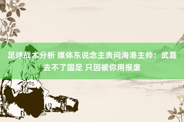 足球战术分析 媒体东说念主责问海港主帅：武磊去不了国足 只因被你用报废