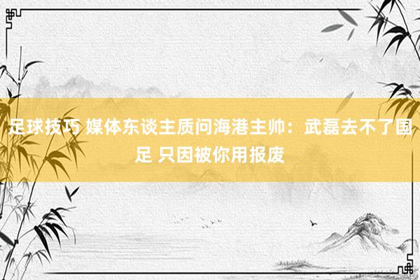 足球技巧 媒体东谈主质问海港主帅：武磊去不了国足 只因被你用报废