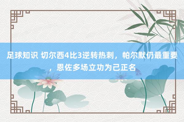 足球知识 切尔西4比3逆转热刺，帕尔默仍最重要，恩佐多场立功为己正名